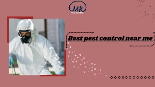 Best pest control near me