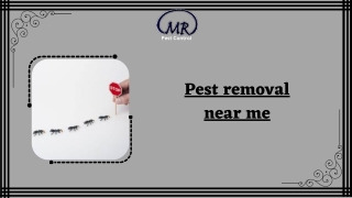 Pest removal near me