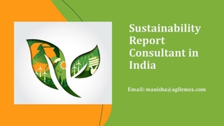 Sustainability Report, What Is It