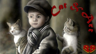 Cat & Art88