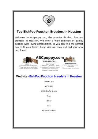 Top BichPoo Poochon Breeders in Houston