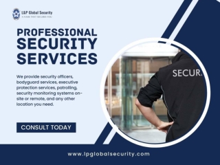 Professional Security Guard Services TX-Call L&P Global Security