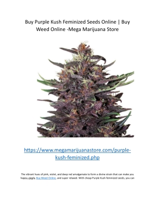 Buy Purple Kush Feminized Seeds Online