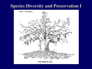 Species Diversity and Preservation I