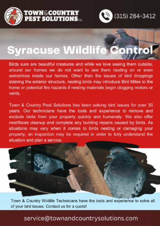 Syracuse Wildlife Control | Syracuse Wildlife control