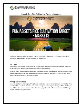 Punjab Sets Rice Cultivation Target Markets