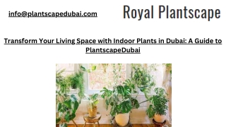 Transform Your Living Space with Indoor Plants in Dubai A Guide to PlantscapeDubai