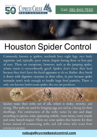 Houston Spider Control | Houston Pest Control