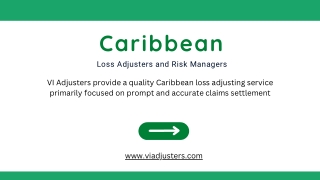 Loss Adjusters in Puerto Rico Islands