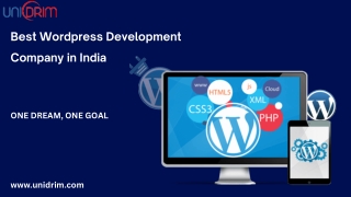 Best Wordpress Development Company in India