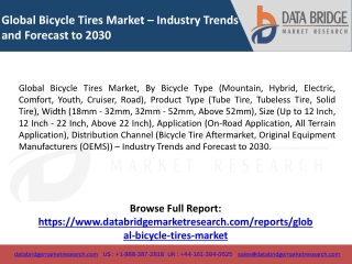 Global Bicycle Tires Market