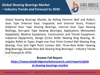 Global Slewing Bearings Market