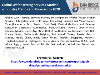 Global Wafer Testing Services Market