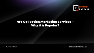 NFT Collection Marketing Services – Why it is Popular