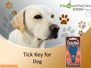 Tick Key Tick Remover : Dog Tick Removers