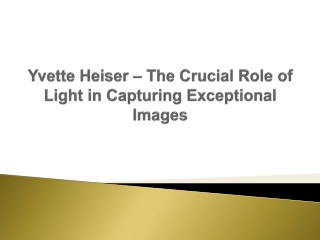 Yvette Heiser – The Crucial Role of Light in Capturing Exceptional Images