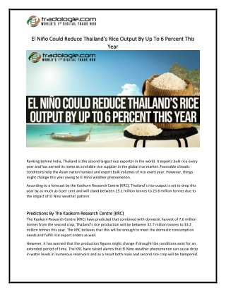 El Niño Could Reduce Thailand’s Rice Output By Up To 6 Percent This Year