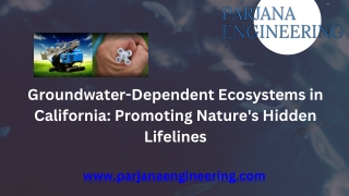 Groundwater-Dependent Ecosystems in California Promoting Nature's Hidden Lifelines