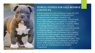 pitbull puppies for sale Monroe county pa