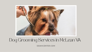 Dog Grooming Services in McLean VA