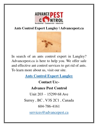 Ants Control Expert Langley  Advancepest.ca