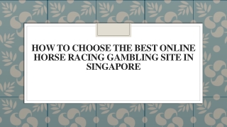 How To Choose The Best Online Horse Racing Gambling Site In Singapore