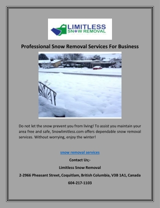 Professional Snow Removal Services For Business