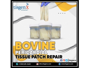 Bovine Pericardial Tissue Patch Repair