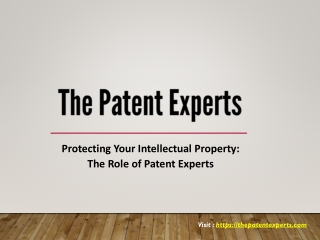 Protecting Your Intellectual Property -  The Role of Patent Experts