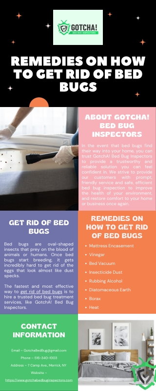 Remedies On How To Get Rid of Bed Bugs