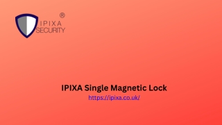 IPIXA Single Magnetic Lock