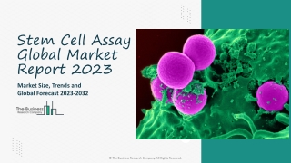 Stem Cell Assay Market Key Drivers, Overview 2023-2032