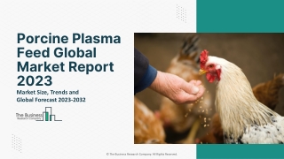 Porcine Plasma Feed Global Market Report 2023