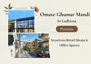 Omaxe Ghumar Mandi In Ludhiana - Brochure