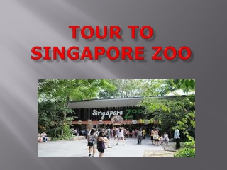 Experience a New Vision towards Wildlife at Wildlife World