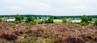 Hofparken Verkoop