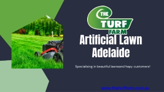 Artificial Lawn Adelaide