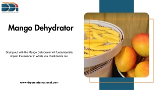 Mango Dehydrator