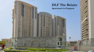 DLF Belaire Rent Gurugram | Apartment in DLF Belaire Gurgaon