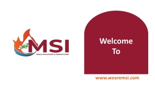 Welcome To Mold Solutions & Inspections Services