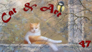 Cat & Art47