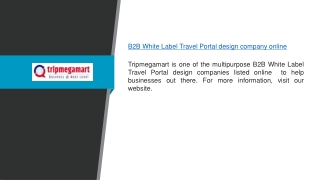 B2B White Label Travel Portal design company online Tripmegamart.com