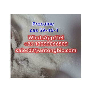 Procaine hcl CAS 59-46-1 C13H20N2O2 2