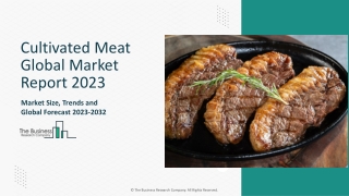 Cultivated Meat Market Segments 2023-2032 | Size, Share And Insights