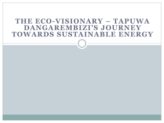 The Eco-Visionary – Tapuwa Dangarembizi’s Journey Towards Sustainable Energy