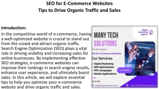 SEO for E-Commerce Websites