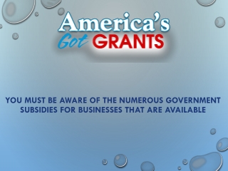 You Must Be Aware Of The Numerous Government Subsidies For Businesses That Are Available