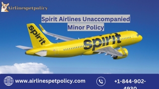 Spirit Airlines Unaccompanied Minor Policy