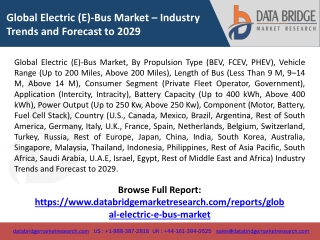 Global Electric (E)-Bus Market