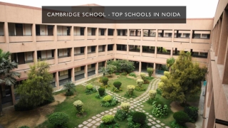 Top Schools in Noida